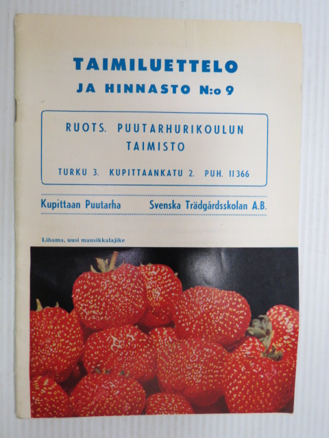 Blogin kuvituskuva