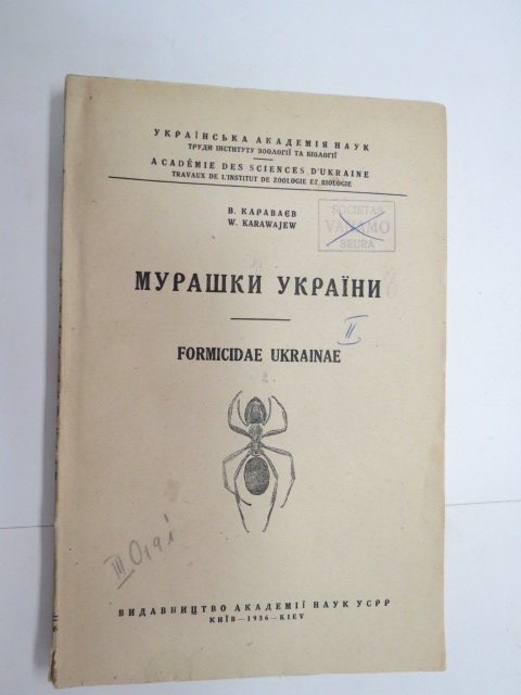 Blogin kuvituskuva