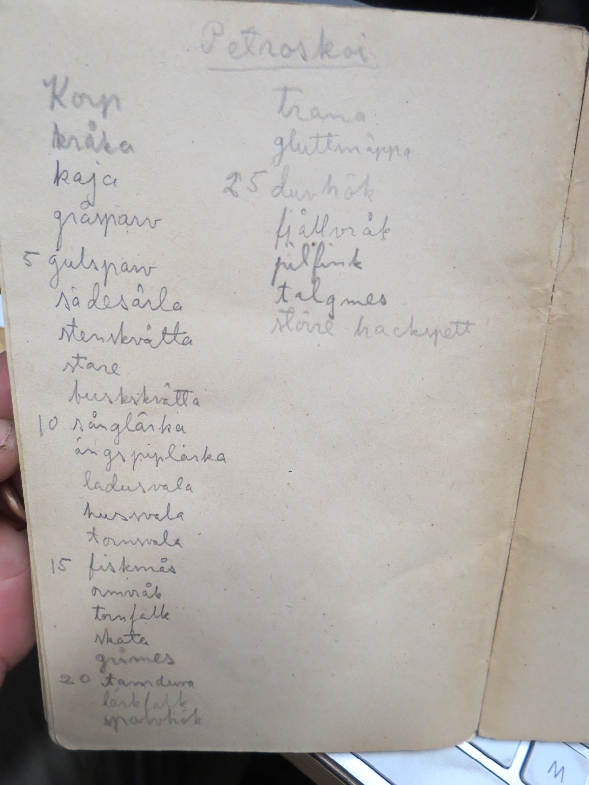Blogin kuvituskuva