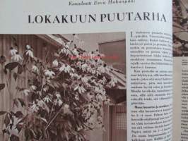 Kotiliesi 1958 nr 19 -mm. Kankaanpainantaa lehtien ja oksien avulla, Talousopettaja Lammasta kasvisten kumppanian, Tee itse lapsillesi lasten kammarin puuesineet,