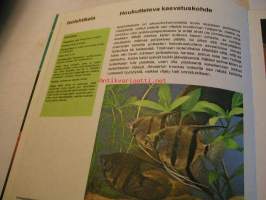 tietotoukka:  akvaario