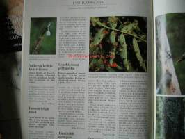 suomen luonto lehti  1994  nr 8