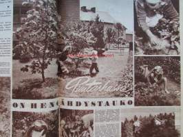 Kotiliesi 1954 nr 12 kesäkuu -mm. Riittoisa raparperi, Kotiruoka vai kaupan tölkki?, Raikasta ja ilmavaa kesäasuun ja sen alle, Puutarhassa on hengähdystauko,