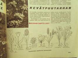 Kotiliesi 1962 nr 16 -mm. Päivänvaloa keittiöni työpäydälle, Pyörillä liikkuva kaappi-pöytä, Nyt ovat vuorossa sienet kurkut ja puolukat säilöntään,