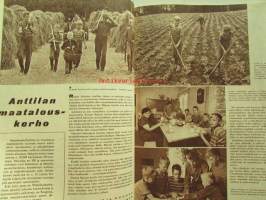 Kotiliesi 1962 nr 16 -mm. Päivänvaloa keittiöni työpäydälle, Pyörillä liikkuva kaappi-pöytä, Nyt ovat vuorossa sienet kurkut ja puolukat säilöntään,