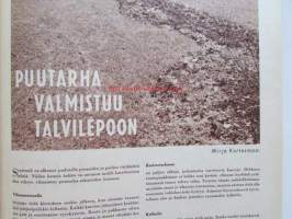 Kotiliesi 1961 nr 19 lokakuu -mm. Mitä kodit odottavat kotitalousopetuksesta, Huutokaupassa, Koti kolmelle, Viherkasvi on talvenkukka, Nukke elää lapsi leikkii,