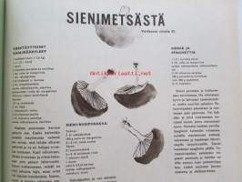 Kotiliesi 1965 nr 18. Syyskuu 1965. Kustaa ja Liisa Vilkunan kesäkoti (Lappajärvi). Toistaiseksi paras tie oman katon alle, Pappilanemäntä Pohjanmaalta Alice Kivioja