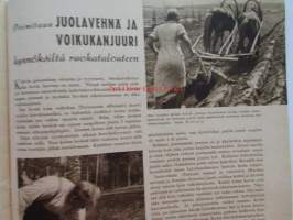 Kotiliesi 1942 nr 15 -mm.  Elokuu Mitä tiedät, morsian,  avioliitosta? Toini Jännes In Memoriam, Juolavehnä ja voikukanjuuri kynnöksiltä ruokatalouteen,