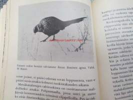 Lintujensuojelun opas (Käyttötieto -sarjaa)