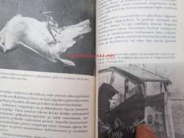 Lintujensuojelun opas (Käyttötieto -sarjaa)