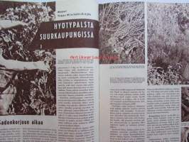 Kotiliesi 1959 nr 16 -mm. Hilja ja August Väänänen Murtolan tila Muuruvesi, Lakanan kirjaimisto, Hapankurkku, Papuja, Pinaattisalaatti, Perunasalaatti