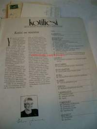 kotiliesi  1991  nr  16