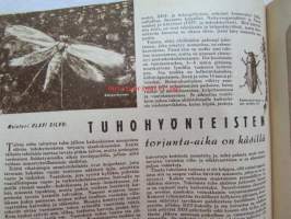 Kotiliesi 1951 nr 5  maaliskuu -mm. Ylikersantti Siivonen Komppanian &quot;äiti&quot; kotonaan, Hulda kontturi Kesän kansallispuku, Omenapaistos ja vaniljakastike,