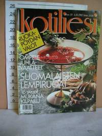 kotiliesi  1991  nr  19