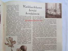 Kotiliesi 1955 nr 4 -mm. helmikuu Kansallispuku ajaton muoti, Talousneuvos Martta Kuusela, Piimäpiirakat, Katso kuvista tarkemmin sisällys ja mainoksia.