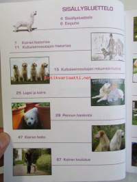 Kultainennoutaja