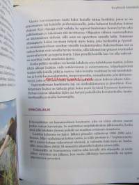 Kultainennoutaja