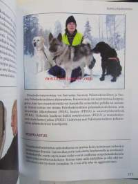 Kultainennoutaja