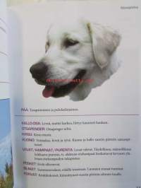 Kultainennoutaja
