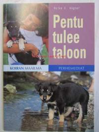 Pentu tulee taloon