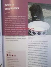 Pentu tulee taloon