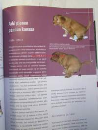 Pentu tulee taloon