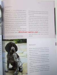 Pentu tulee taloon