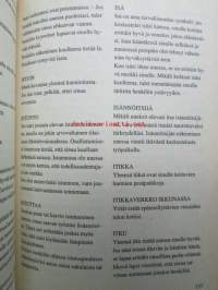 Suuri unikirja