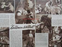 Kotiliesi 1953 nr 13-14 heinäkuu -mm. Kesäloman leikkitoverit, Hellin Mustala piha kukkii koko kesän, Elisabeth II Kruunausvuoden englantilainen nainen,