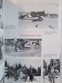 Fokker D.XXI - Suomen ilmavoimien historia 3