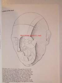 Drawing the human head