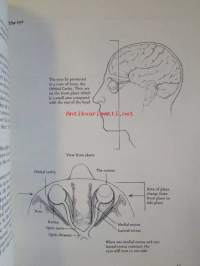 Drawing the human head