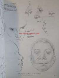 Drawing the human head