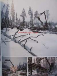Minun metsäni täynnä elämää