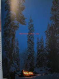 Minun metsäni täynnä elämää