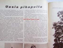 Kotiliesi 1962 nr 9 -mm. Uusia pihapuita Pilarihaapa, Mantsuurian jalopähkinä, Hevoskastanja, Maakellari rakennuspiirrustus, Eläketurva, Pähkinäkakku,