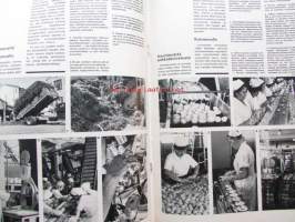Kotiliesi 1969 nr 17 -mm. Lehtori Eero Seppälä ja johtajaopettaja Jorma Teikari, Hämeenlinna teatterikerhon nuoret, Itävaltalainen luumukakku, Kuulentäjien