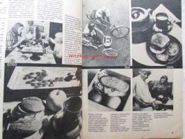 Kotiliesi 1969 nr 17 -mm. Lehtori Eero Seppälä ja johtajaopettaja Jorma Teikari, Hämeenlinna teatterikerhon nuoret, Itävaltalainen luumukakku, Kuulentäjien