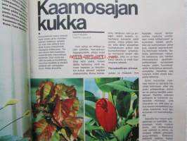 Kotiliesi 1970 nr 22 -mm. Lähetystyö Pirkkalassa, Soukka ssa asumisen edut ja haitat, Liha-riisipata, Jauhelihapihvi, Piimäkakku, Oudot hedelmät ja kasvikset,