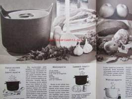 Kotiliesi 1964 nr 2 -mm. Ikkunoiden peseminen talvella, Mauno Pakkanen Poltatko metsätalouden raaka-ainetta?, Onko Amerikkalainen koti kadonnut?, Ebba Brahe