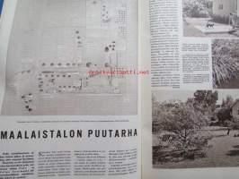 Kotiliesi 1964 nr 11 -mm. Kauniit kesäjalat ja -varpaat, Napit ja näpinlävet, Maatilan kylmäsäilytyshuone, Käytännön kaloritaulukko, Maalaistalon puutarha,
