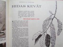 Kotiliesi 1964 nr 11 -mm. Kauniit kesäjalat ja -varpaat, Napit ja näpinlävet, Maatilan kylmäsäilytyshuone, Käytännön kaloritaulukko, Maalaistalon puutarha,