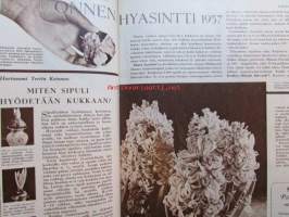 Kotiliesi 1956 nr 19 -mm. 4 Tahranpoistoainetta, Omenaohukasohje, Maisteri Talvikki ja Vakvatti sisarusten kaunis kartano, iloisia värejä keittiöön, Olin