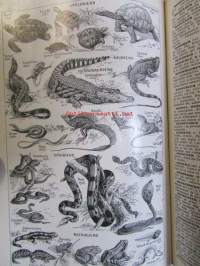 Nouveau Petit Larousse Illustre - Sana- ja tietokirja selityksineen