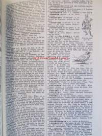 Nouveau Petit Larousse Illustre - Sana- ja tietokirja selityksineen
