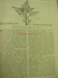Kotiliesi 1930 nr 10, pojan kesä, pinaattikasvit puutarhassa, tyttärien ammattikasvatuksesta