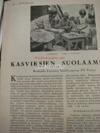 Kotiliesi 1930 nr 16 Elokuu 1930. Kaunis kansikuva: laitumella, piirtänyt Hanna Sigfried . Artikkeli kuvineen  Hilda Käkikoski . Takakannessa tyylikäs mainos