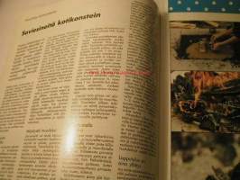 kotiteollisuus  1985  2