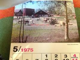 Valio 1975 seinäkalenteri