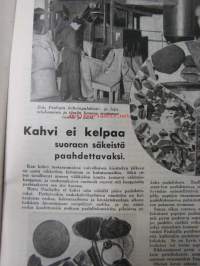 Kotiliesi 1931 nr 11